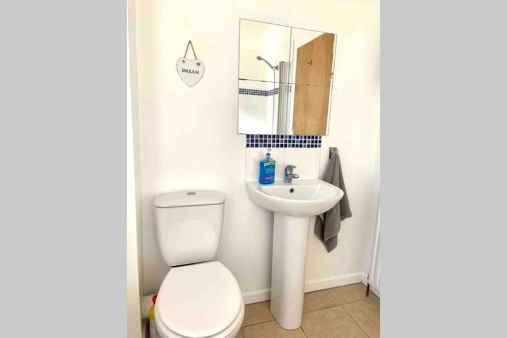 דירות בלפסט Flat 5 Eia House מראה חיצוני תמונה
